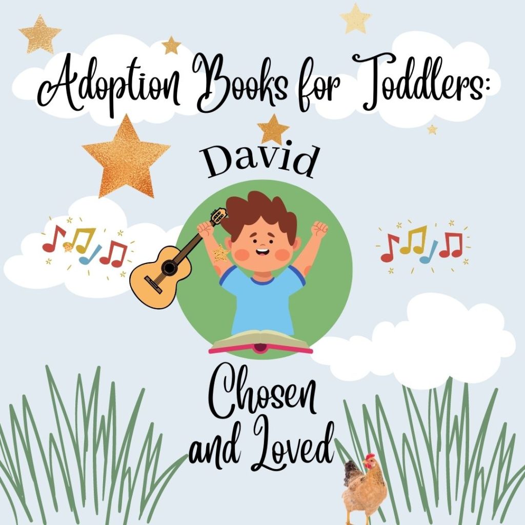 Adoption Books for Toddlers | David Chosen and Loved - Struggle Shuttle